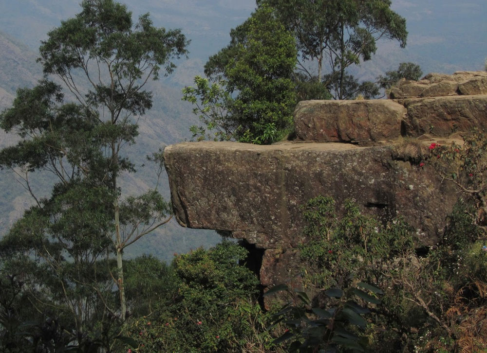 ooty tour package holidays in ooty