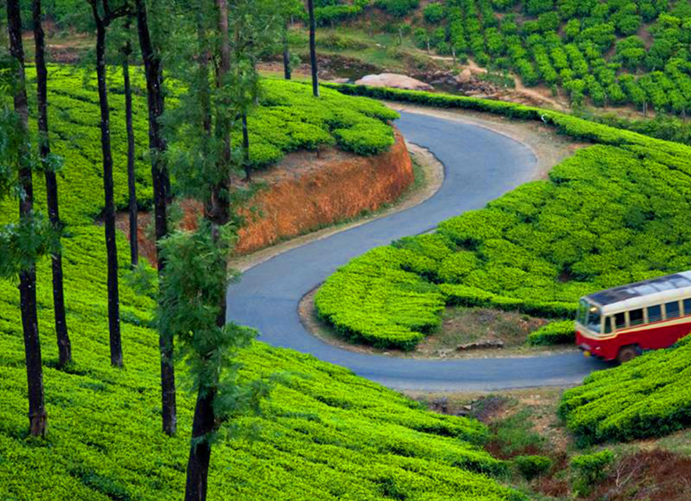 munnar tour package munnar