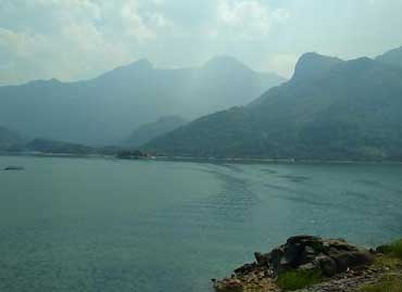 aliyar