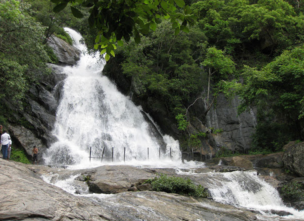 Topslip Valparai Tour from Coimbatore