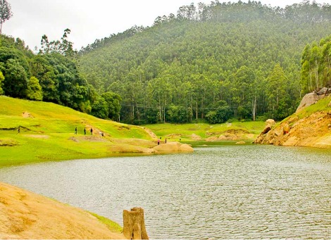 Munnar tour from coimbatore Kerla Mattupetty Dam