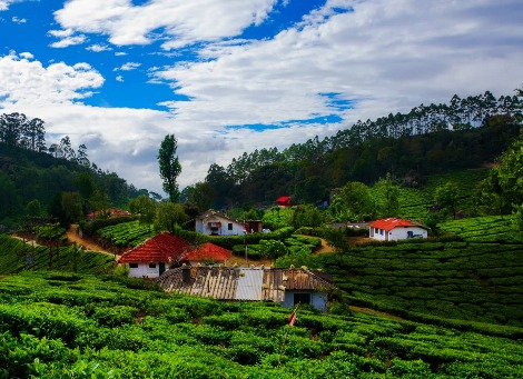 hill station tour package botanical garden